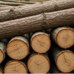 Най-добрите практики за събиране и надробяване на клони след подрязване